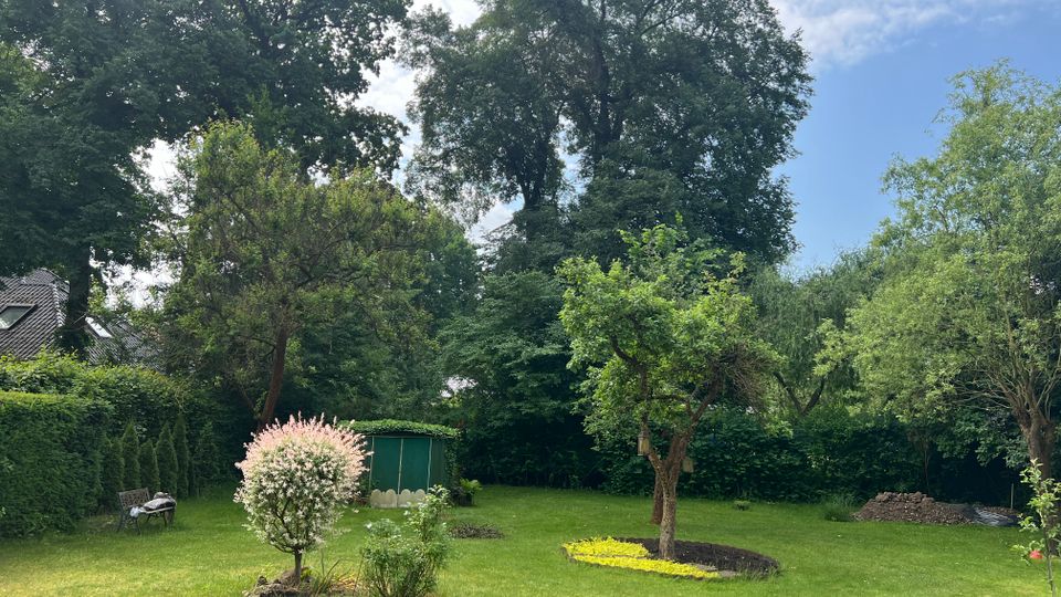 Großer, gepflegter Garten mit weitläufiger Rasenfläche, mehreren Laubbäumen und einem blühenden Zierstrauch im Vordergrund. Im Hintergrund stehen eine grüne Gartenhütte, Hecken sowie ein teilweise sichtbares Wohnhausdach unter blauem Himmel mit Wolken.