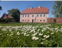 Ein rosafarbenes Gebäude mit weißen Fensterrahmen und rotem Dach steht im Hintergrund, umgeben von einem Ziegelzaun. Im Vordergrund erstreckt sich eine Wiese mit blühenden Gänseblümchen unter klarem, blauem Himmel.