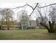 Gebäude mit moderner, funktionaler Architektur, umgeben von einer Grünfläche mit kahlen Bäumen im Winter. Im Vordergrund stehen ein geschnittener Baum und weitere unbelaubte Äste.
