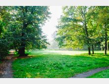 Grüne Parklandschaft mit großen Bäumen, darunter ein schmaler, mit Laub bedeckter Weg. Im Hintergrund erstreckt sich eine offene, sonnenbeschienene Wiese unter einem klaren Himmel.