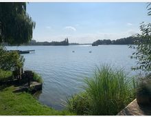 Ein ruhiger See mit einem Steg und Schilf im Vordergrund, umgeben von Bäumen. Im Wasser sind zwei Schwäne zu sehen, und am Horizont erstreckt sich eine bewaldete Insel unter einem klaren, blauen Himmel.