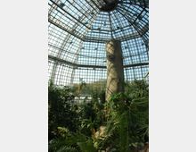 Großes Gewächshaus mit einer kuppelförmigen Glasstruktur, durch die Tageslicht einfällt. Innen befinden sich üppige tropische Pflanzen und ein hoher, säulenförmiger Betonblock.
