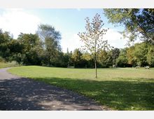 Grüne Parklandschaft mit einer großen Rasenfläche, mehreren Bäumen und einem Weg aus Asphalt, der sich durch die Szene schlängelt. Im Hintergrund sind Sitzbänke und dichter Bewuchs zu erkennen.