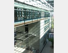 Moderne Gebäudestruktur mit großen Glasfassaden und einem offenen Innenbereich. Sichtbar sind Betonwände, metallene Tragkonstruktionen unter der Decke, Fensterfronten auf mehreren Etagen und ein heller, von Tageslicht durchfluteter Raum mit einem Baum im unteren Bereich.