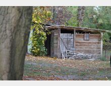 Eine kleine, hölzerne Hütte mit einem schrägen Dach und einem kleinen Fenster steht inmitten eines bewaldeten Außenbereichs mit herbstlich gefärbten Blättern. Im Vordergrund ist ein Baumstamm sichtbar, und auf dem Boden liegen verstreute Zweige und Laub.