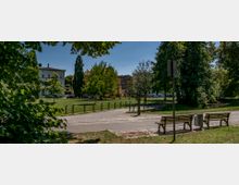 Ein Park mit Rasenflächen, Bäumen und gepflasterten Wegen, auf denen zwei Holzbänke stehen. Im Hintergrund sind Wohnhäuser und eine Straßenreihe zu sehen, teils umrahmt von größeren Bäumen.