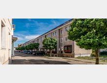 Straßenszene mit einer Reihe von dreigeschossigen Wohnhäusern aus Beton mit großen Fenstern, davor geparkte Autos und symmetrisch angeordnete Bäume entlang des Gehwegs. Links im Vordergrund ist die Ecke eines Gebäudes sichtbar, während der Himmel klar und blau ist.