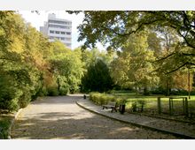 Ein Park mit geschwungenem Gehweg, umgeben von dichtem Baumbestand in herbstlichen Farben. Im Hintergrund ist ein modernes, mehrstöckiges Gebäude sichtbar, während eine Holzbank und Grünflächen den Vordergrund prägen.