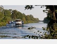 Ein Ausflugsboot fährt auf einem Fluss, umgeben von dicht bewachsenen Ufern mit Bäumen. Im Hintergrund ist eine Brücke sichtbar, während im Vordergrund Äste und Blätter den Blick rahmen.