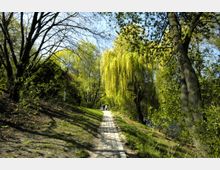 Ein schmaler, gepflasterter Weg führt durch einen Park mit dichtem Grün, hohen Bäumen und einer auffälligen Trauerweide, die lange, herabhängende Zweige hat. Im Hintergrund spazieren Menschen entlang des Weges, umgeben von natürlicher Vegetation.