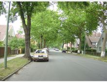 Wohnstraße mit Einfamilienhäusern auf beiden Seiten, gesäumt von hohen Bäumen und geparkten Autos. Die Straße ist asphaltiert, mit Gehwegen und Vorgärten entlang der Häuser.