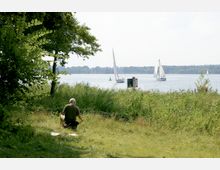 Ein älterer Mann sitzt auf einer Wiese am Ufer eines Sees, umgeben von hohen Gräsern und Bäumen. Im Hintergrund segeln mehrere kleine Boote über das Wasser, und am Horizont ist eine Linie von bewaldeten Hügeln sichtbar.