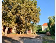 Eine ländliche Szenerie mit großen Bäumen, die Schatten auf einen unbefestigten Weg werfen, sowie Gebäuden im Hintergrund, darunter ein Haus mit rotem Ziegeldach und eine Metalltür. Im Vordergrund liegen verstreute Blätter unter den Bäumen.