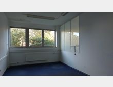 Leerer Raum mit blauen Teppichboden, einer großen Fensterfront mit Blick auf Bäume und einer weiß gestrichenen Wand mit gläsernem Trennelement. Ein Heizkörper befindet sich unter dem Fenster, und die Decke ist mit einfachen Leuchtstofflampen ausgestattet.