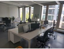 Modernes Großraumbüro mit mehreren weißen Schreibtischen, schwarzen Bürostühlen und Monitoren. Große Fenster lassen viel Tageslicht herein, und Pflanzen dekorieren die Arbeitsplätze. Im Hintergrund sind Außenansichten von umliegenden Gebäuden sichtbar.