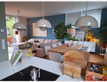 Offene Wohnküche mit modernem Interieur: Im Vordergrund eine Kücheninsel mit Induktionskochfeld und Kochutensilien, dahinter ein Essbereich mit Holztisch und weißen Stühlen sowie ein Wohnbereich mit beigen Sofas, großen Zimmerpflanzen und blauer Wand. Große Fenster lassen viel Licht herein, und Dekorationen verleihen dem Raum eine wohnliche Atmosphäre.