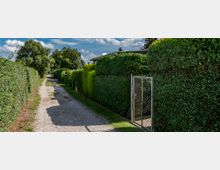 Ein schmaler Kiesweg verläuft zwischen hohen, gepflegten Hecken, die beide Seiten der Strecke umgeben. Rechts ist ein Metalltor in der Hecke erkennbar, im Hintergrund stehen vereinzelte Bäume unter einem blauen Himmel mit Wolken.