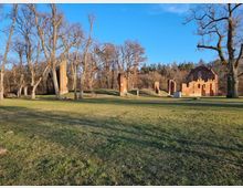 Ruine einer Backsteinkirche auf einer offenen Wiese, umgeben von Bäumen ohne Laub, mit einem Wald im Hintergrund bei klarem Himmel.
