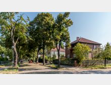 Ruhige Wohnstraße mit Kopfsteinpflaster und Bäumen, die dichten Schatten spenden. Auf der rechten Seite stehen Einfamilienhäuser mit roten Ziegeldächern und Vorgärten, die von Zäunen umgeben sind.