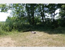 Eine Wiese mit vereinzelten Grasflächen und freiliegendem Boden, umgeben von hohen Bäumen und dichter Vegetation. Im Vordergrund ist eine kleine Feuerstelle mit Steinen sichtbar.