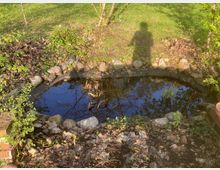 Kleiner Gartenteich, umrandet von Steinen und umgeben von Pflanzen und Laub. Im Wasser spiegeln sich Äste und Himmel, und im Hintergrund ist eine Wiese sichtbar.