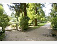 Ein Parkweg mit hell geschotterter Oberfläche führt durch eine grüne Landschaft mit großen Nadelbäumen und dichten Büschen. Links im Bild befindet sich ein halb geöffnetes Metalltor mit dekorativem Muster.