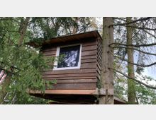 Baumhaus aus Holz mit einem rechteckigen Fenster, gebaut zwischen Nadelbäumen. Das Haus ist auf einer Plattform befestigt, umgeben von dichtem grünen Laub und Ästen.
