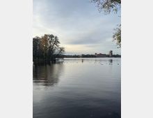 Blick über einen ruhigen See mit glatter Wasseroberfläche; am linken Ufer stehen hohe, teils herbstliche Bäume, und im Wasser sind zahlreiche Enten sowie eine gelbe Boje zu sehen. Am gegenüberliegenden Ufer verläuft eine Stadtfront mit Backsteingebäuden und einem höheren modernen Hochhaus unter bewölktem Himmel.