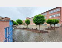 Großer, gepflasterter Schulhof mit kleinen Bauminseln, Sitzbänken und einem rosafarbenen Gebäudekomplex im Hintergrund, der große Fensterreihen hat. Ein blauer Zaun ist links im Vordergrund zu sehen.