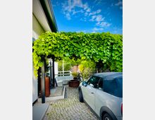 Überdachter Hofbereich neben einem modernen Haus, mit einem dichten Laubdach aus Kletterpflanzen über einem gepflasterten Weg. Rechts steht ein geparktes Auto, im Hintergrund sind Sitzmöbel und bepflanzte Kübel vor Hecken und Bäumen zu sehen.