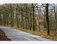 Asphaltierte Straße am Rand eines lichten Waldes mit unbelaubten Bäumen; im Hintergrund ist eine historische Kirche mit Turm zwischen den Bäumen sichtbar. Ein Verkehrsschild auf der linken Seite weist auf ein Parkverbot hin.