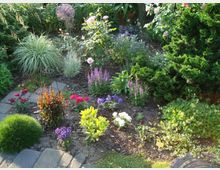 Ein blühendes Gartenbeet mit verschiedenen Pflanzen und Blumen, darunter Lavendel, Rosen und Ziergräser. Im Hintergrund stehen Sträucher und Bäume, während ein schmaler Weg aus Pflastersteinen links im Bild sichtbar ist.