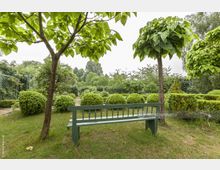 Grüne Parklandschaft mit einer Holzbank im Vordergrund, umgeben von gepflegten Buchsbaumsträuchern und Bäumen mit dichten Kronen, die teilweise Schatten spenden. Im Hintergrund sind weitere Grünflächen und Gitterelemente zu sehen.