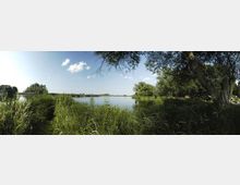 Naturlandschaft mit einem ruhigen Fluss oder See, umgeben von dichten Gräsern, Sträuchern und Bäumen. Der Himmel ist klar und blau, mit vereinzelten Wolken, und die Szenerie wirkt abgelegen und friedlich.