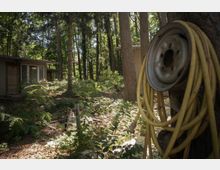 Ein bewaldetes Grundstück mit dichtem Unterholz und hohen Bäumen, auf dem ein Gebäude aus Ziegeln und Holz mit großen Fenstern steht. Im Vordergrund ist ein altes Metallrad an einen Baum befestigt, um das ein gelber Schlauch gewickelt ist.