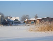 Schneebedeckter Bauernhof mit mehreren Gebäuden, darunter ein modernes Wohnhaus mit einem auffälligen Rundbogenfenster und ein langes Holzgebäude mit großen Fenstern. Im Vordergrund ein verschneites Feld, ein Holzzaun und Pferde auf einer umzäunten Fläche.