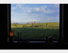 Blick aus einem Fenster auf eine grüne Wiese mit vereinzelten Bäumen und einem blauen Himmel mit Wolken. Auf der Fensterbank stehen eine kleine Lampe und verschiedene Dekorationsgegenstände.