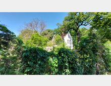 Weiße, zweistöckige Villa mit Ziegeldach, umgeben von dichtem, grünem Wald und einem überwucherten Zaun im Vordergrund. Der Himmel ist klar und strahlend blau.