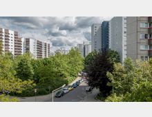 Straßenszene in einem Wohngebiet mit mehreren Hochhäusern im Hintergrund und einer von parkenden Autos gesäumten Straße, die an einer dichten Baumreihe entlang verläuft. Die Gebäude bestehen aus grauen und weißen Fassaden mit Balkonen, und der Himmel ist bewölkt.