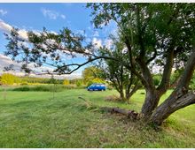 Grüne Wiese mit vereinzelten Bäumen im Vordergrund und einem blauen Kleinbus im Hintergrund. Der Himmel ist teilweise bewölkt, und die Umgebung wirkt ländlich mit Baumgruppen und freier Natur.