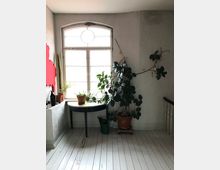 Ein heller Innenraum mit einem großen Rundbogenfenster, das Tageslicht hereinscheint. Vor dem Fenster stehen ein kleiner Holztisch mit Topfpflanzen sowie weitere Pflanzen und eine Gießkanne auf dem Holzboden.