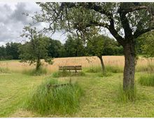 Eine Holzbank steht zwischen zwei Obstbäumen auf einer Wiese mit hohem Gras. Im Hintergrund sind Getreidefelder und eine Baumreihe unter bewölktem Himmel zu sehen.