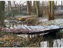 Eine winterliche Waldszene mit einem schmalen Bach, der unter einer schneebedeckten Holzbrücke hindurchfließt. Die Umgebung ist von kahlen Bäumen und leicht mit Schnee bestreutem Boden geprägt.