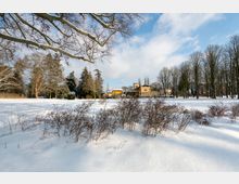 Schneebedeckte Parklandschaft mit kahlen Bäumen und einigen niedrigen Sträuchern im Vordergrund. Im Hintergrund stehen gelblich gehaltene Gebäude mit einem kleinen Turm, umgeben von weiteren Bäumen und einem klaren blauen Himmel mit einigen Wolken.