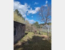 Blick über einen ländlichen Garten mit Rasenweg, kahlen Sträuchern und Bäumen unter blauem Himmel mit Wolken. Links steht ein kleines Nebengebäude mit Wellblechdach, rechts ein gläsernes Gewächshaus mit Metallrahmen.