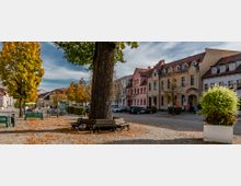 Kleiner Stadtplatz mit großen Bäumen im Herbstlaub, eine Bank um einen Baumstamm in der Mitte. Im Hintergrund sind historische Gebäude mit farbigen Fassaden und Autos auf Parkplätzen zu sehen.