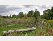 Eine ländliche Wiese mit einem alten Zaun aus Holzlatten und einem geöffneten Holztor, umgeben von Wildwuchs und Bäumen im Hintergrund; ein umgefallener Holzstamm liegt im Vordergrund auf der Wiese. Der Himmel ist wolkenverhangen mit vereinzelten blauen Stellen.