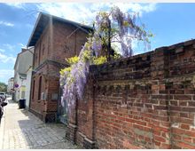 Backsteinmauer und Gebäude mit violett blühendem Blauregen, teils verschattet durch Sonnenlicht. Kopfsteinpflaster und geparkte Autos säumen den Gehweg in einem städtischen Wohngebiet.