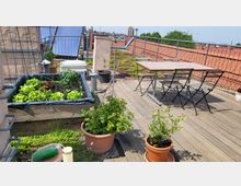 Dachterrasse mit Hochbeet, Topfpflanzen und einer Sitzgruppe aus Metall und Holz auf einem Holzdeck. Im Hintergrund sind Solarpanels und ein Geländer zu sehen, daneben bepflanzte Flächen und umliegende Gebäude.