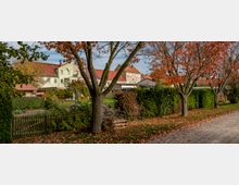 Wohnsiedlung mit Reihenhäusern und roten Ziegeldächern im Hintergrund, umgeben von kleinen Gärten mit grünen Hecken und Bäumen mit herbstlich verfärbtem Laub; ein unbefestigter Weg verläuft rechts entlang der Szene.